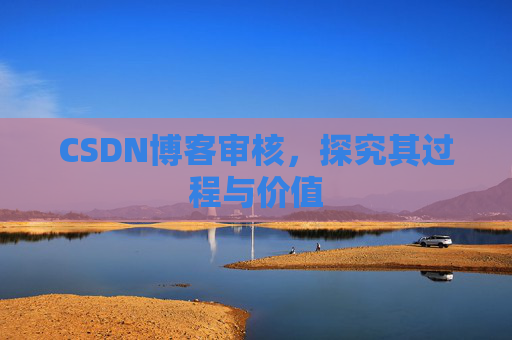 CSDN博客审核，探究其过程与价值